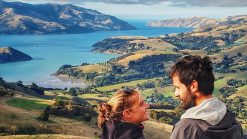 Akaora péninsule de banks