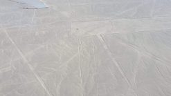 lignes nazca