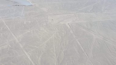 lignes nazca