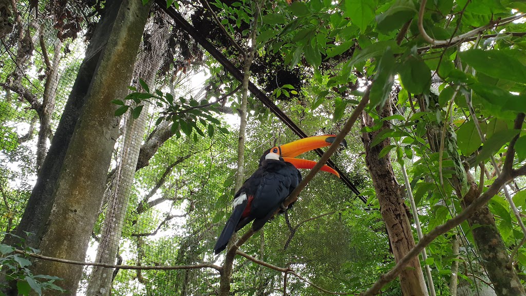 Parque das Aves à Foz do Iguaçu